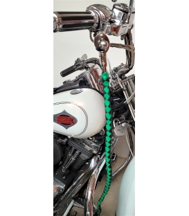 Ensemble fouet "whips" et lacet portefeuille en cuir vert et noir