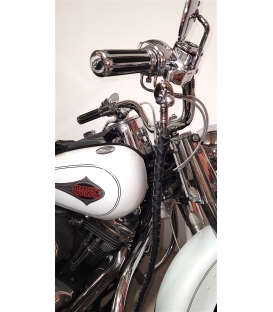 fouet "whips" cuir noir